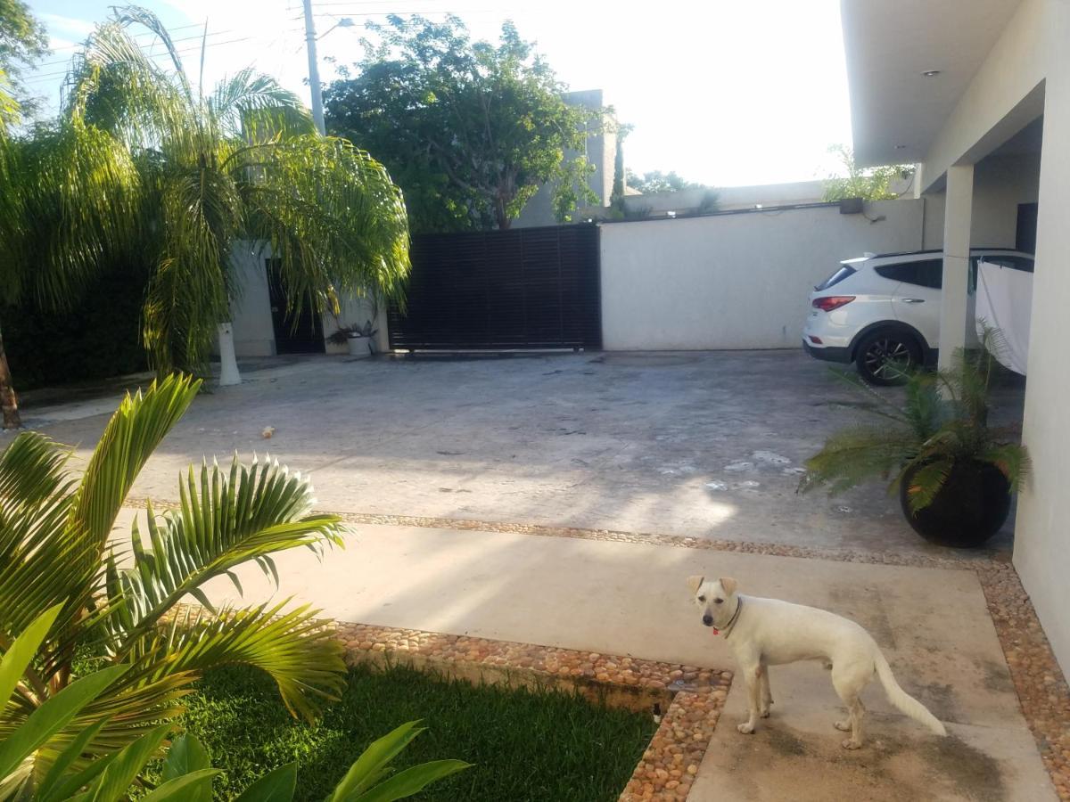 Casa Xcanatun Mérida Εξωτερικό φωτογραφία
